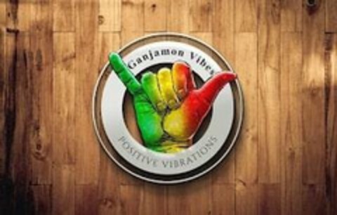 GANJAMON VIBES POSITIVE VIBRATIONS Logo (USPTO, 11.10.2019)