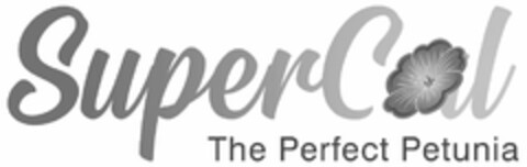 SUPERCAL THE PERFECT PETUNIA Logo (USPTO, 05.11.2019)