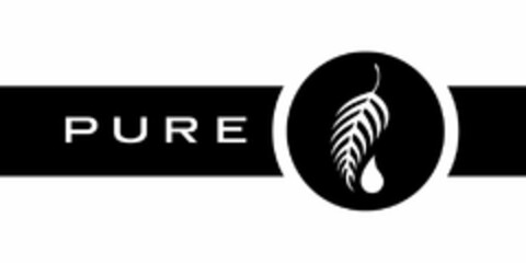 PURE Logo (USPTO, 20.11.2015)