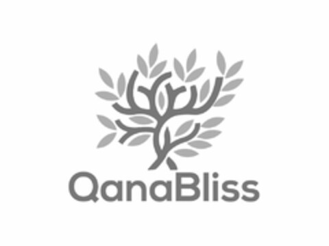 QANABLISS Logo (USPTO, 14.07.2020)