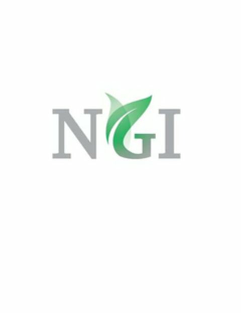 NGI NATURE'S GIFTS INTERNATIONSL Logo (USPTO, 04.02.2009)