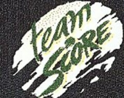 TEAM SCORE Logo (USPTO, 01.03.2010)