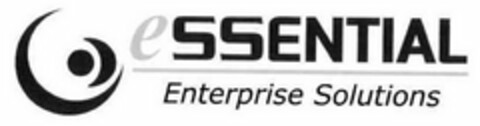 ESSENTIAL ENTERPRISE SOLUTIONS Logo (USPTO, 17.12.2010)