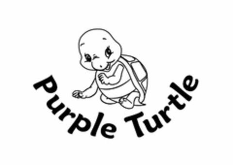 PURPLE TURTLE Logo (USPTO, 08/10/2012)