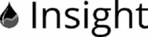 INSIGHT Logo (USPTO, 25.09.2015)