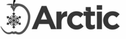 ARCTIC Logo (USPTO, 01/21/2020)