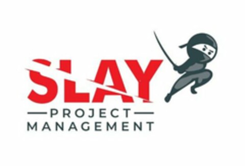 SLAY PROJECT MANAGEMENT Logo (USPTO, 12.03.2020)