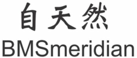 BMSMERIDIAN Logo (USPTO, 07/27/2020)