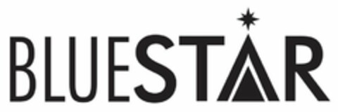 BLUESTAR Logo (USPTO, 30.07.2020)