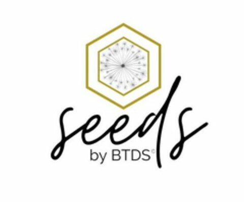 SEEDS BY BTDS Logo (USPTO, 17.08.2020)