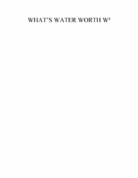 WHAT'S WATER WORTH W³ Logo (USPTO, 12/22/2009)