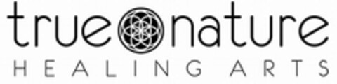 TRUE NATURE H E A L I N G A R T S Logo (USPTO, 01/06/2011)