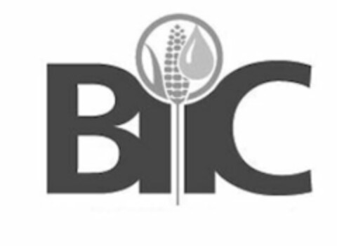 BIIC Logo (USPTO, 06.06.2012)