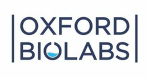 OXFORD BIOLABS Logo (USPTO, 11/05/2015)