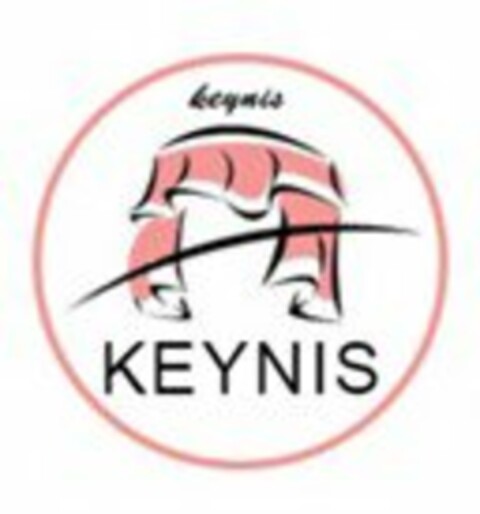 KEYNIS Logo (USPTO, 26.02.2017)