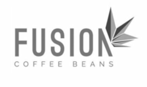 FUSION COFFEE BEANS Logo (USPTO, 22.11.2018)