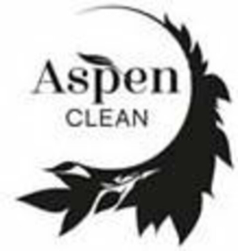 ASPEN CLEAN Logo (USPTO, 11/29/2018)