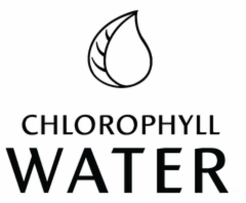 CHLOROPHYLL WATER Logo (USPTO, 15.01.2019)