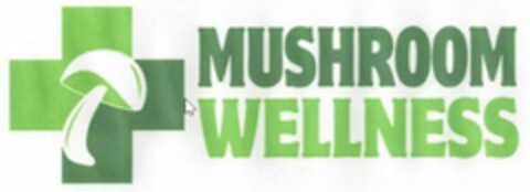 MUSHROOM WELLNESS Logo (USPTO, 13.08.2020)