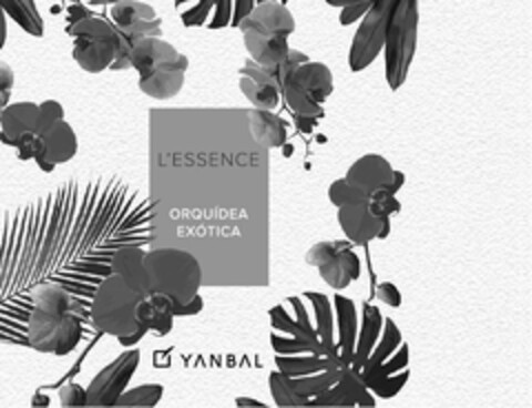 L'ESSENCE ORQUIDEA EXOTICA YANBAL Logo (USPTO, 26.08.2020)