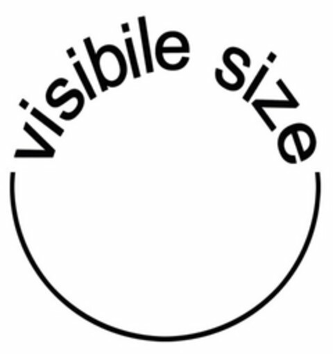 VISIBLE SIZE Logo (USPTO, 13.02.2012)