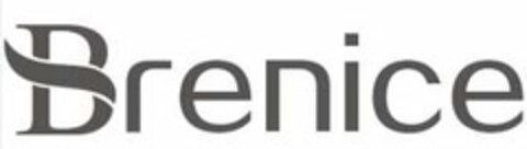 BRENICE Logo (USPTO, 11.12.2017)