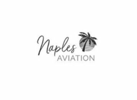 NAPLES AVIATION Logo (USPTO, 05/10/2019)