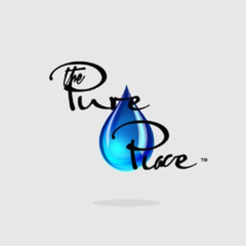 THE PURE PLACE Logo (USPTO, 23.08.2019)