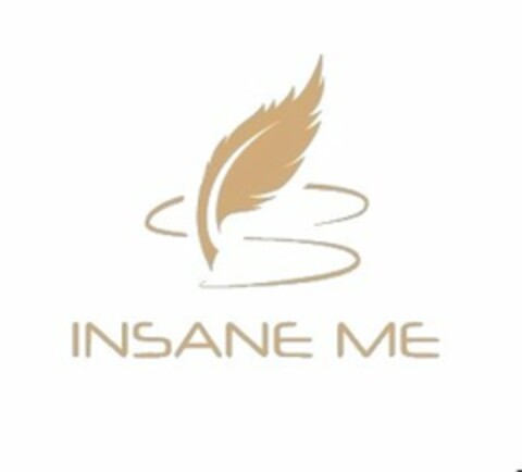 INSANE ME Logo (USPTO, 08/11/2020)