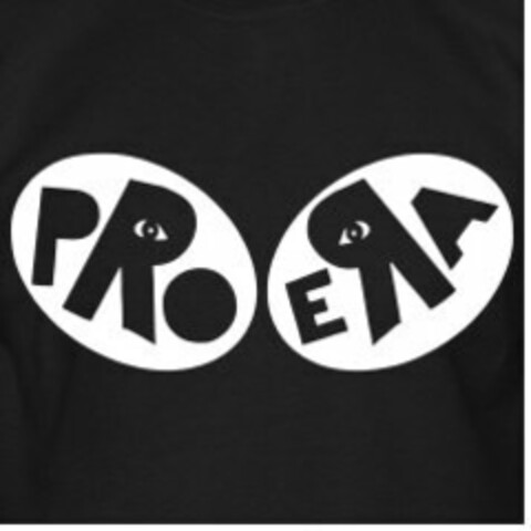 PRO ERA Logo (USPTO, 12.01.2015)