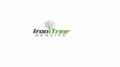 IRON TREE SERVICE Logo (USPTO, 16.05.2017)