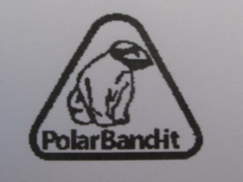 POLAR BAND-IT Logo (USPTO, 20.06.2017)