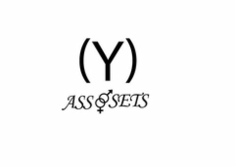 (Y) ASS SETS Logo (USPTO, 10/29/2019)