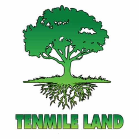 TENMILE LAND Logo (USPTO, 22.11.2019)
