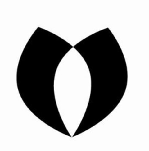 V Logo (USPTO, 01.12.2011)
