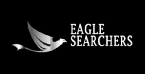 EAGLE SEARCHERS Logo (USPTO, 03.05.2013)