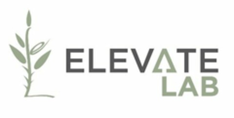 ELEVATE LAB Logo (USPTO, 06.02.2014)