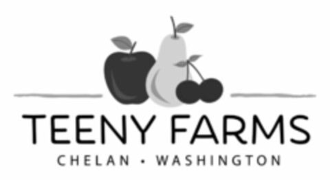 TEENY FARMS CHELAN ? WASHINGTON Logo (USPTO, 09.09.2019)