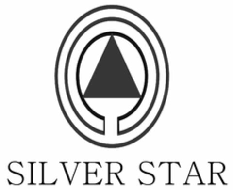 SILVER STAR Logo (USPTO, 30.10.2019)