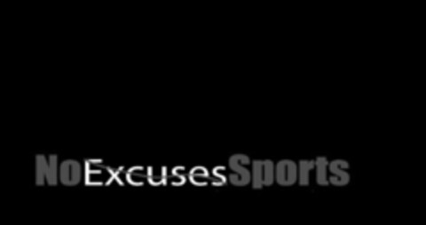 NOEXCUSESSPORTS Logo (USPTO, 31.07.2013)