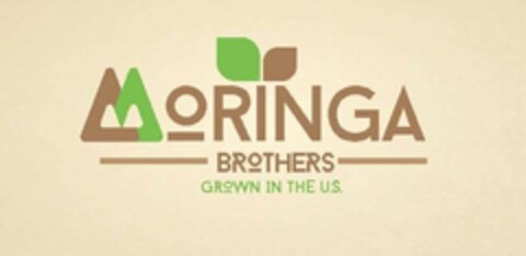 MORINGA BROTHERS GROWTH IN THE U.S. Logo (USPTO, 13.01.2015)