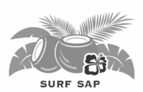 SURF SAP Logo (USPTO, 25.01.2017)