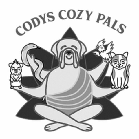 CODYS COZY PALS Logo (USPTO, 31.05.2018)