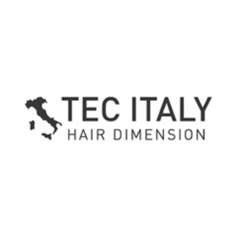 TEC ITALY HAIR DIMENSION Logo (USPTO, 10/26/2018)