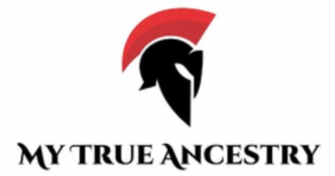 MY TRUE ANCESTRY Logo (USPTO, 08.08.2019)