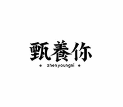 ZHENYOUNGNI Logo (USPTO, 01/03/2020)