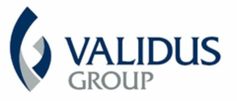 VG VALIDUS GROUP Logo (USPTO, 11.05.2010)