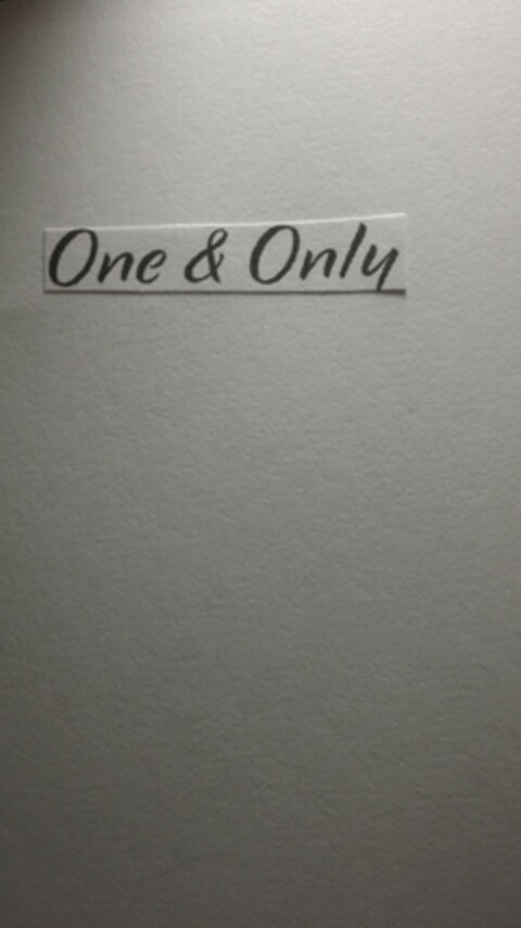 ONE & ONLY Logo (USPTO, 04.09.2015)