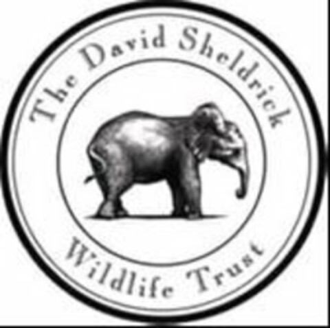 THE DAVID SHELDRICK WILDLIFE TRUST Logo (USPTO, 24.06.2019)