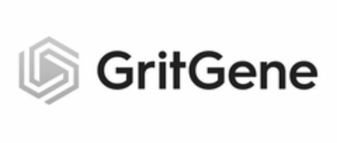 GRITGENE Logo (USPTO, 23.07.2020)